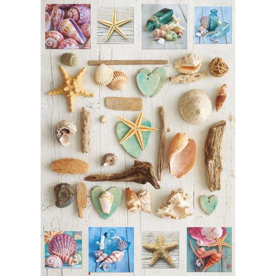 Educa Conch Collage Puzzle 1000 Teile