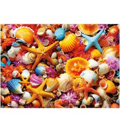 Puzzle Educa Muschel-Collage 1000 Teile