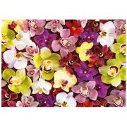 Educa Puzzle-Collage aus Orchideen mit 1000 Teilen