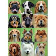 Educa Dog Collage Puzzle 500 Teile