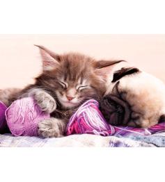 Puzzle Educa Dream Companions mit 500 Teilen