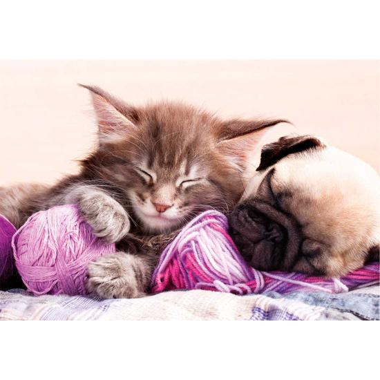 Puzzle Educa Dream Companions mit 500 Teilen