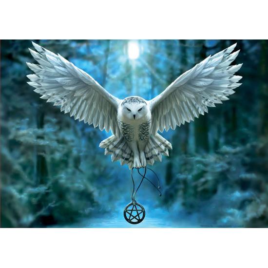 Puzzle Educa Erwecke deine Magie aus 500 Teilen