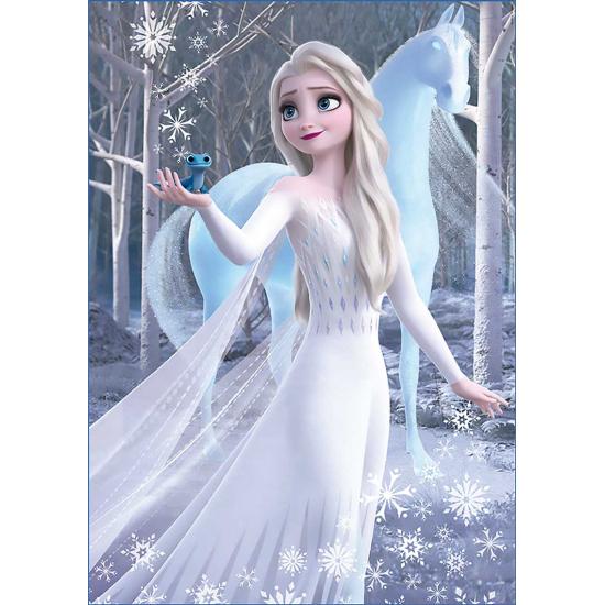 Educa Frozen 2 Puzzle mit 2 x 500 Teilen
