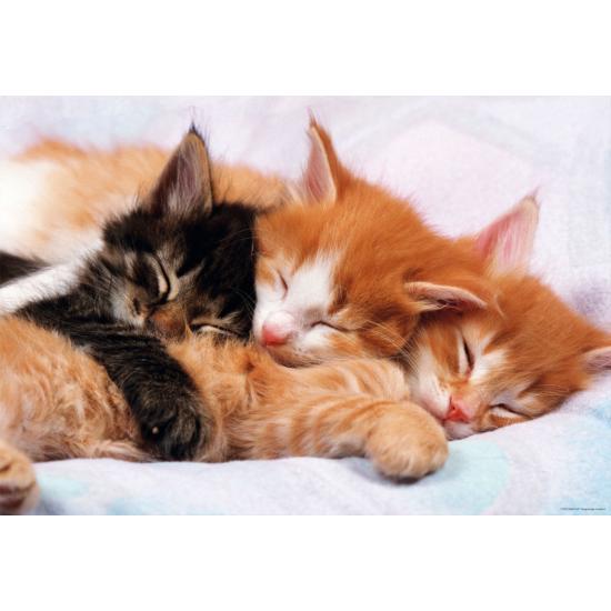 Educa Katzenpuzzle mit 500 Teilen