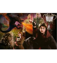 Puzzle Educa Harry Potter Feuerkelch (P Miniatur) von 1000P