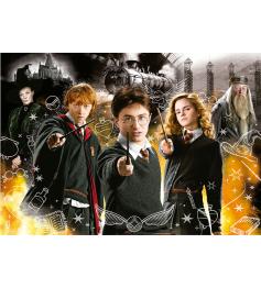 Puzzle Educa Harry Potter Neoneffekt 1000 Teile