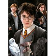 Educa Harry Potter Puzzle (Miniaturteile) mit 1000 Teilen