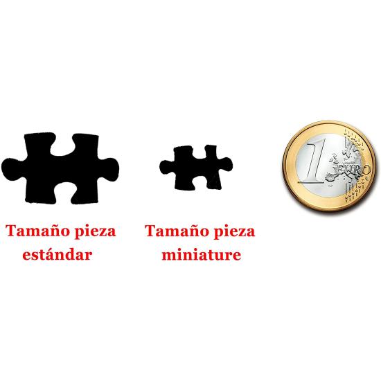 Puzzle Educa Die Sternennacht (Miniaturteile) 1000 Teile