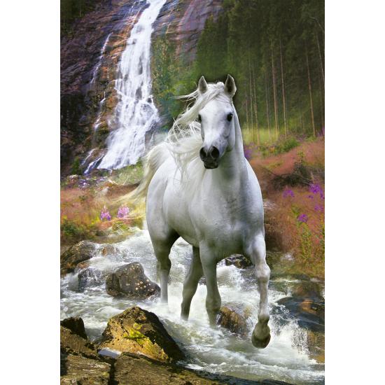 Educa Libertad Puzzle 500 Teile