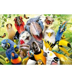 Educa „Look at the Little Bird“-Puzzle, 500 Teile