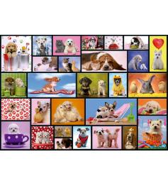 Puzzle Educa Shared Moments mit 1000 Teilen