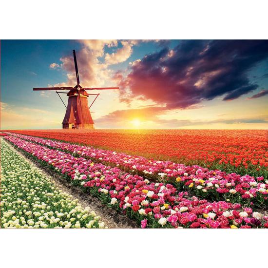 Educa Puzzle Landschaft aus Tulpen mit 1500 Teilen