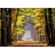 Educa Herbstspaziergang Puzzle 1000 Teile