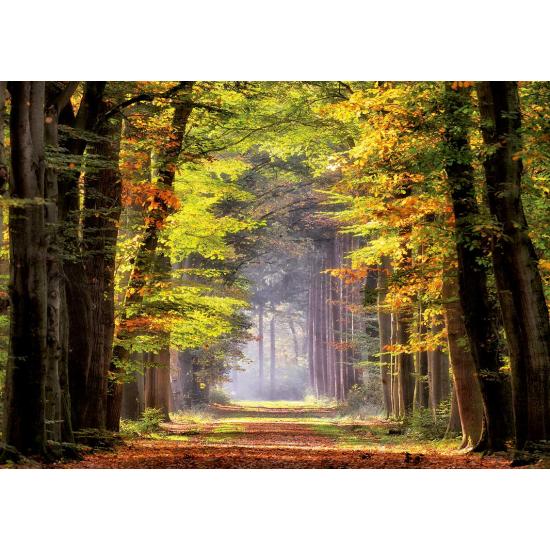 Educa Herbstspaziergang Puzzle 1000 Teile