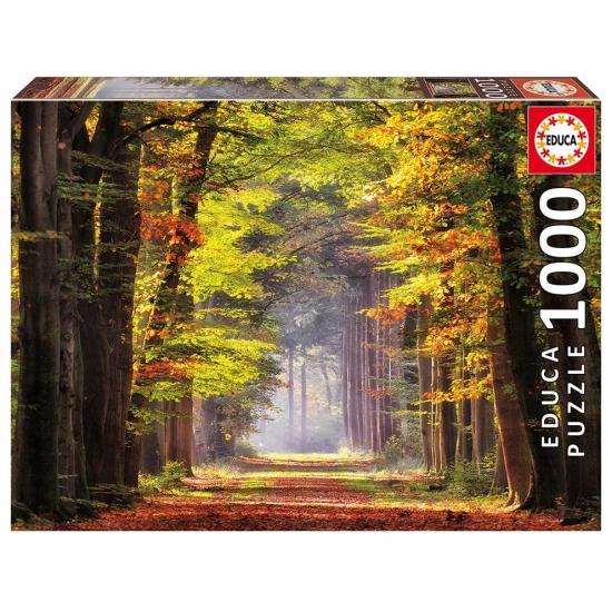 Educa Herbstspaziergang Puzzle 1000 Teile