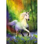 Puzzle Educa Chasing the Rainbow aus 500 Teilen