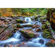 Genießen Sie das Puzzle „Waldbach im Herbst“ mit 1000 Teilen