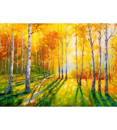 Puzzle Enjoy Birch Forest 1000 Teile