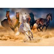 Puzzle „Enjoy Horses Running in the Desert“ 1000 Teile