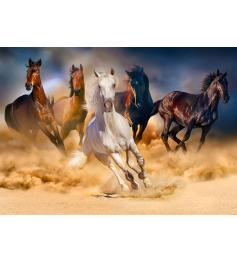Puzzle „Enjoy Horses Running in the Desert“ 1000 Teile
