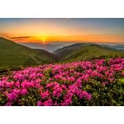 Puzzle Enjoy Pink Twilight 1000 Teile