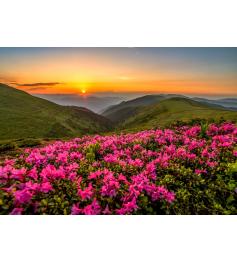 Puzzle Enjoy Pink Twilight 1000 Teile