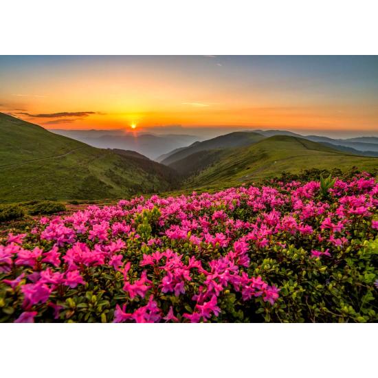 Puzzle Enjoy Pink Twilight 1000 Teile