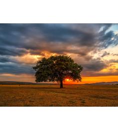 Puzzle „Genießen Sie die Sonnenfinsternis zwischen Blättern“ mit