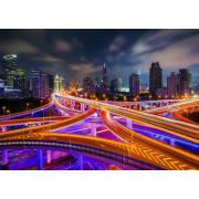 Puzzle „Genießen Sie die Innenstadt von Shanghai bei Nacht“ mit