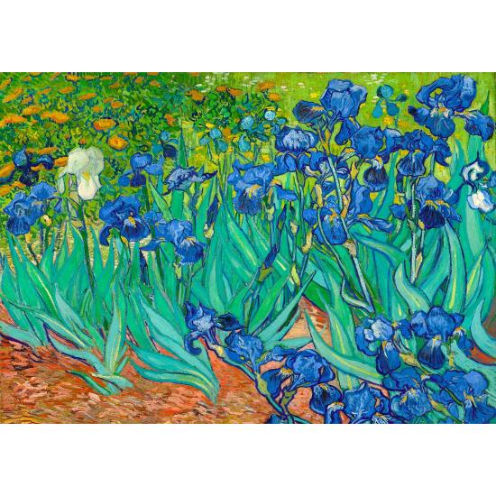 Puzzle Enjoy Iris 1000 Teile