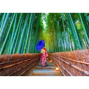 Puzzle Genießen Sie asiatische Frau im Bambuswald 1000 Teile