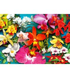 Puzzle „Enjoy Orchid Jungle“ 1000 Teile