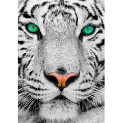 Genießen Sie das 1000-teilige Puzzle „Sibirischer weißer Tiger“.