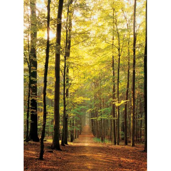 Eurographics Puzzle Pfad im Wald 1000 Teile Eurographics Puzzle Pfad im Wald 1000 Teile