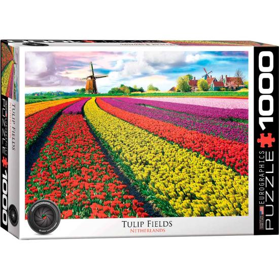 Eurographics Puzzle Tulpenfeld, Holland mit 1000 Teilen
