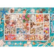 Eurographics Puzzle Muschelkollektion 1000 Teile