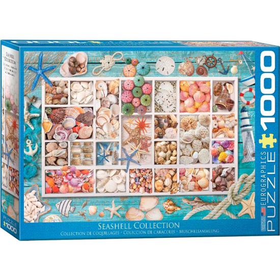 Eurographics Puzzle Muschelkollektion 1000 Teile