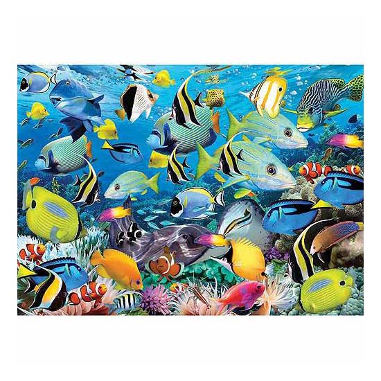 Eurographics Puzzle Die Farben des Ozeans 1000 Teile