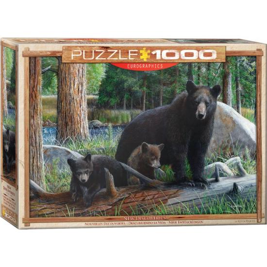 Eurographics Puzzle „Das Leben entdecken“ 1000 Teile