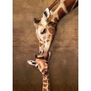Eurographics Puzzle Der Kuss der Giraffenmutter 1000 Teile