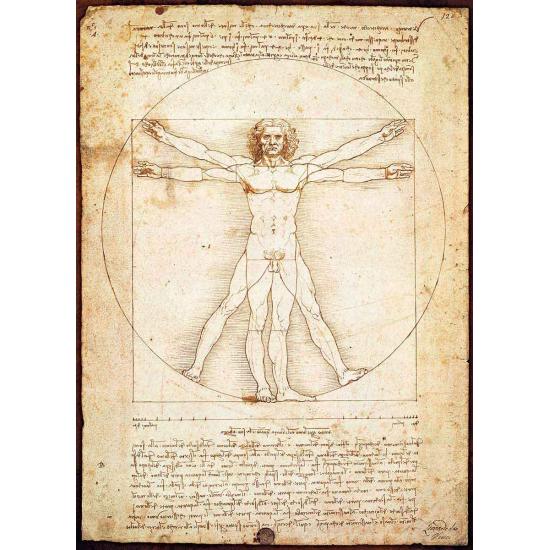 Eurographics Puzzle Der vitruvianische Mensch 1000 Teile