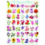 Eurographics Puzzle Die Sprache der Blumen 1000 Teile