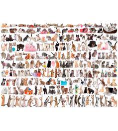 Eurographics Puzzle Die Welt der Katzen 1000 Teile