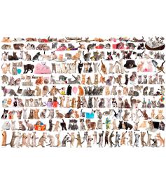Eurographics Puzzle Die Welt der Katzen 2000 Teile