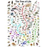 Eurographics Puzzle Der Baum des Lebens 1000 Teile