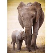 Eurographics Puzzle Elefant und sein Baby 1000 Teile
