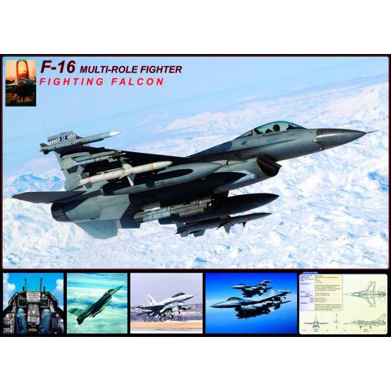 Eurographics Falcon F-16 1000-teiliges Puzzle
