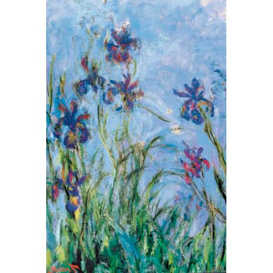 Eurographics Iris Flowers 1000-teiliges Puzzle