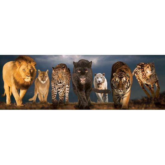 Eurographics Big Cats Puzzle 1000 Teile